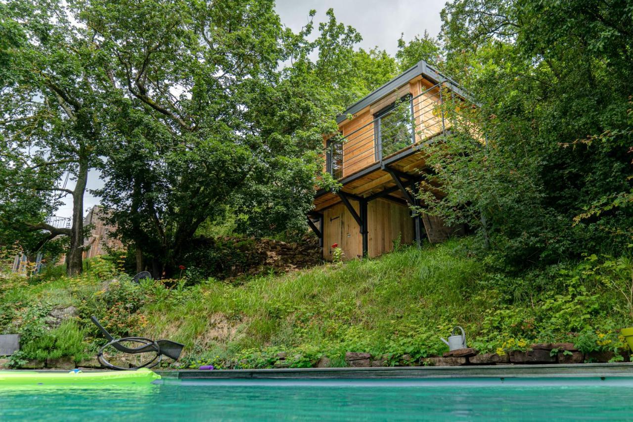Le Moonloft Insolite Tiny-House Dans Les Arbres & 1 Seance De Sauna Pour 2 Avec Vue Panoramique Osenbach Exterior foto