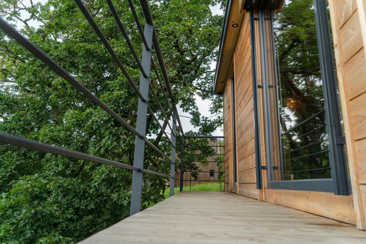 Le Moonloft Insolite Tiny-House Dans Les Arbres & 1 Seance De Sauna Pour 2 Avec Vue Panoramique Osenbach Exterior foto