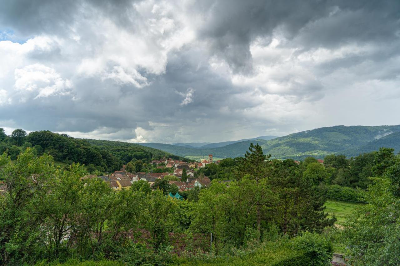 Le Moonloft Insolite Tiny-House Dans Les Arbres & 1 Seance De Sauna Pour 2 Avec Vue Panoramique Osenbach Exterior foto