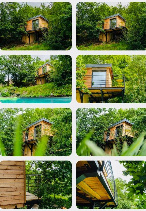 Le Moonloft Insolite Tiny-House Dans Les Arbres & 1 Seance De Sauna Pour 2 Avec Vue Panoramique Osenbach Exterior foto